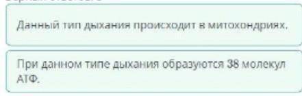 Определите признаки аэробного дыхания Верхных ответов 2Только по вариантам ответа! ​