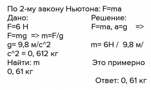 Чему равна масса тела если на него действует 6 Ньютонов​