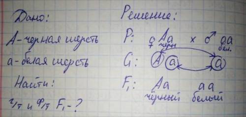 при скрещивании белого и черного доминантные признаки) кроликов потомство получается черным какими б