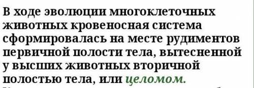 Что изменяется в строении сердца животных в ходе эволюции