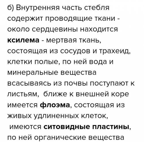 ответить на два вопроса а внутренем стебле. Уже 0:20 спать ппц как хочется лучшим ответом сделаю