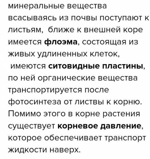 ответить на два вопроса а внутренем стебле. Уже 0:20 спать ппц как хочется лучшим ответом сделаю