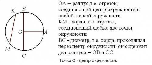 Выполнить чертеж окружности, показать на чертеже: центр, радиус, хорда и диаметр окружности