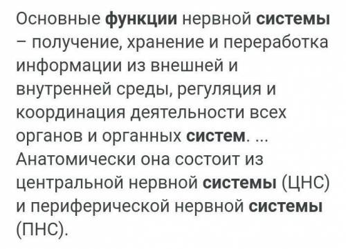 - Какие функции выполняет нервная система человека? Приведи 1 пример .