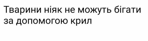 2 Визначте особливості будови крил птахів (довгі, короткі, вузькі, широкі тощо). На які особливості