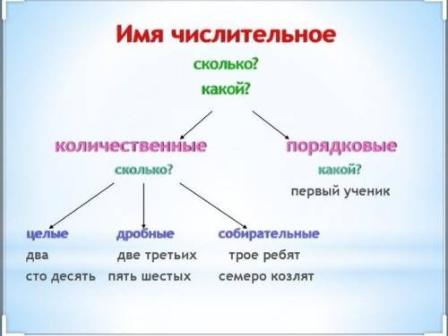 2.Какие числительные называются порядковые, а какие количественные? (Приведи по 2 слова 9 поряд. и 2