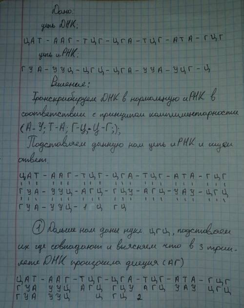 Участок транскрибируемой цепи молекулы ДНК имел следующую последовательность нуклеотидов ЦАТААГТЦГЦГ