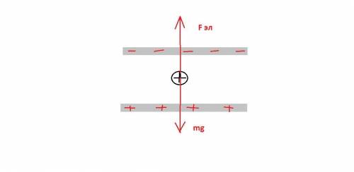 Какова масса заряженной пылинки, находящейся в равновесии между горизонтальными пластинами заряженно