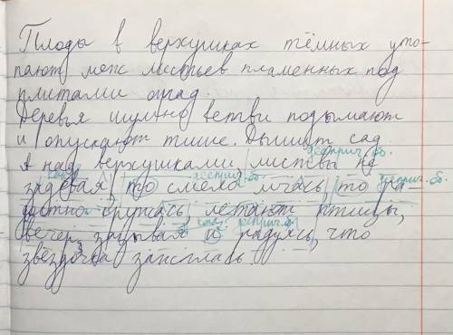 Подчеркните деепричастия как члены предложения. Обозначьте суффикс, с которого образованы деепричаст