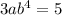 3ab^{4}=5