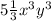 5 \frac{1}{3} x {}^{3} y {}^{3}