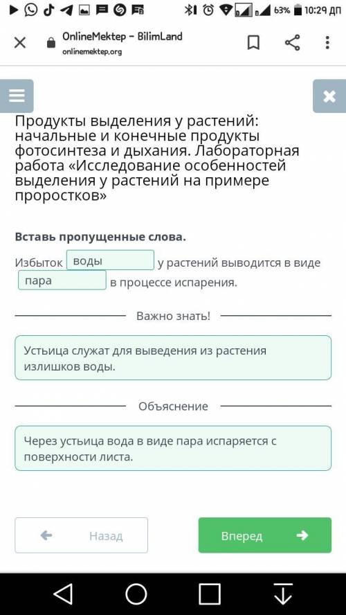 Продукты выделения у растений: начальные и конечные продукты фотосинтеза и дыхания. Лабораторная раб