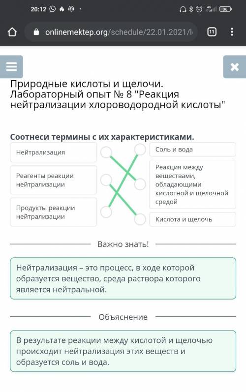 Природные кислоты и щелочи. Лабораторный опыт № 8 Реакция нейтрализации хлороводородной кислоты Со