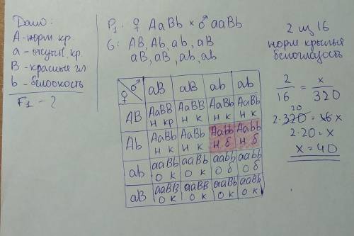 Нормальные крылья и красные глаза у дрозофилы - доминантные признаки, а отсутствие крыльев и белооко