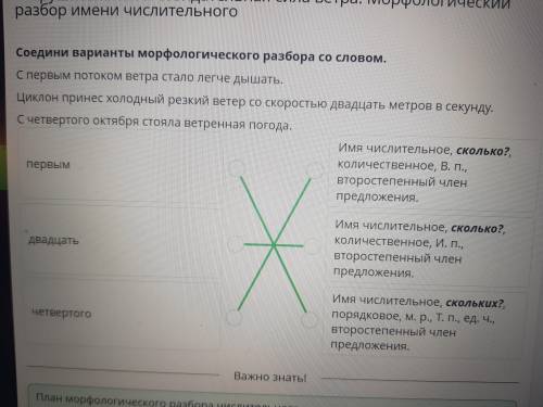 Соедини варианты морфологического разбора со словом.С первым потоком ветра стало легчедышать.Циклон