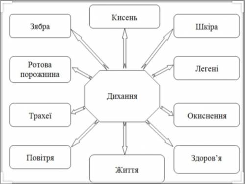 Схеми органів дихання усіх типів тварин (будь ласка видповісти як мого швидше​