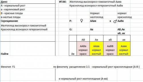 У помідорів червоне забарвлення плодів домінує над жовтим, двогнізді плоди— над багатогніздими, висо