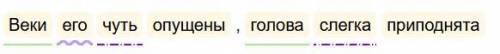 СИНТАКСИЧЕСКИЙ РАЗБОР ПРЕДЛОЖЕНИЯ Веки его чуть опущены , голова слегка приподнята...​