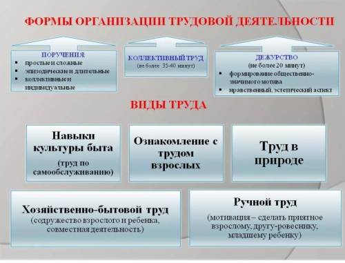 Перечислите формы организации труда в разных возрастных группах​