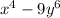 x^{4} -9y^6