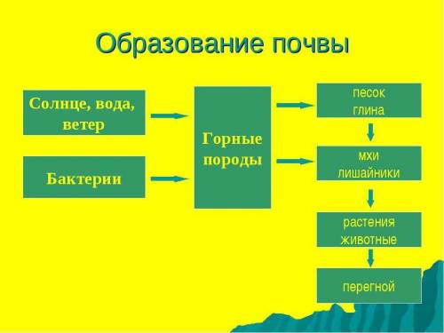 Используя текст учебника, составьте модель образования почвы