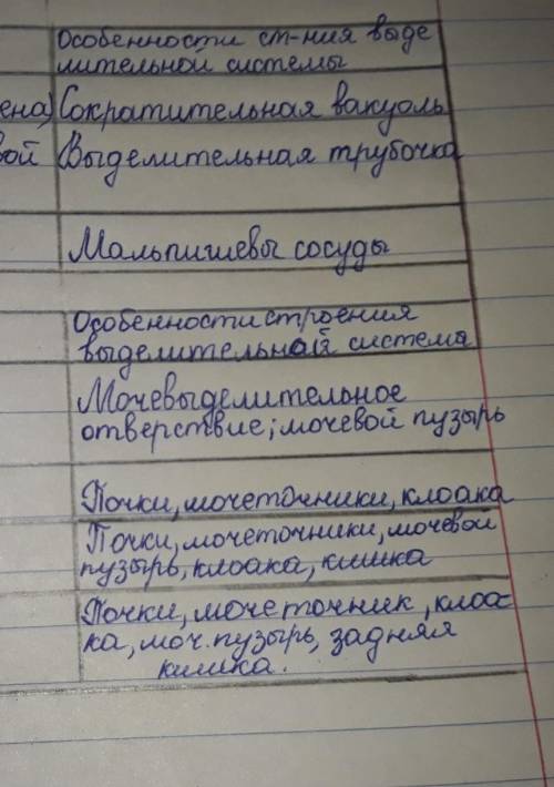 Заполните таблицу «Сравнение строения выделительной системы» Особенности строения выделительной сист