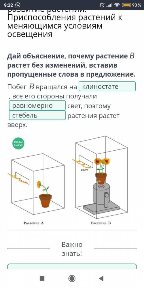 Влияние света на рост и развитие растений. При растений к меняющимся условиям освещения Дай объяснен