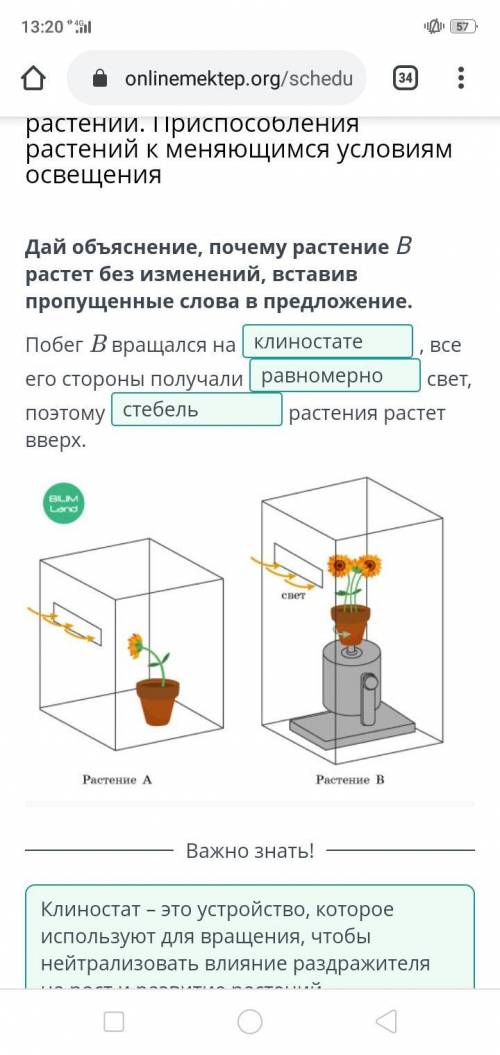 Влияние света на рост и развитие растений. При растений к меняющимся условиям освещения Дай объяснен