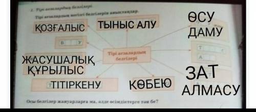 1. Тірі ағзалардың белгілері. Тірі ағзалардың негізгі белгілерін анықтаңдар.қсTу жәнедуБyTСТірі ағза