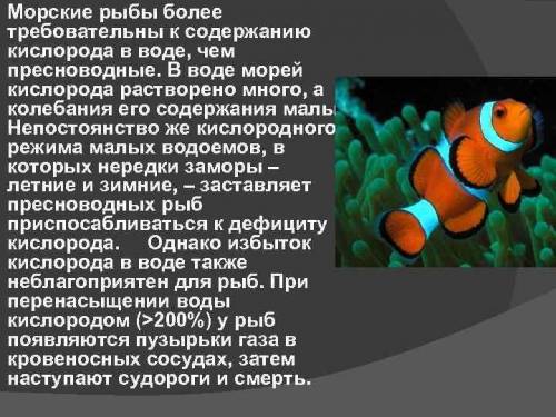 Как поступает рыба в тех случаях когда им недостаточно кислорода растворенного в воде Какие рыбы счи