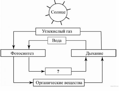 Используя рисунок,составьте схему,отражающий процесс фотосинтеза​