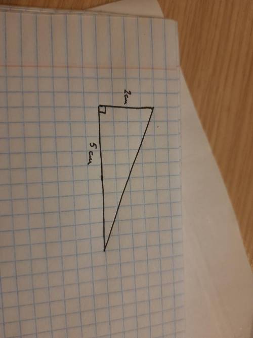 1. Начертите прямоугольный треугольник у которого стороны образующие прямой угол 2см и 5см2.Найдите
