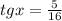 tg x = \frac{5}{16}