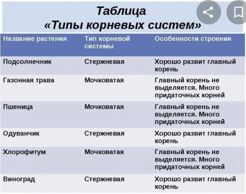 На оснавании полученных результатов сделайте вывод особенностях строения разных типов кррневых систе