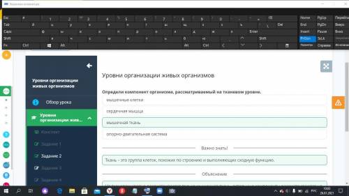 Уровни организации живых организмов Опредили компонент рассматриваемый На тканевом уровне. организма