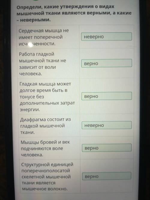 Определи, какие утверждения о видах мышечной ткани являются верными, а какие – неверными​