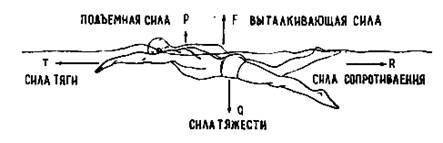 Человек массой 52 кг, средней плотностью 1036 кг / м ^ 3. Человек плавает в воде. А) какой объем у ч