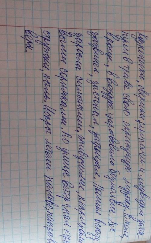 ПИСЬМЕННО определите в данных предложениях однородные члены предложения, спишите предложения, вставь