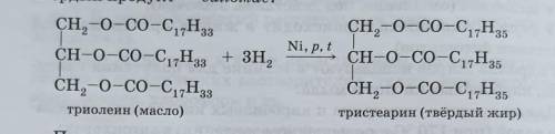 Чем отличается по составу растительный жир от животного? Как получить из жидкого жира твёрдый? Напиш