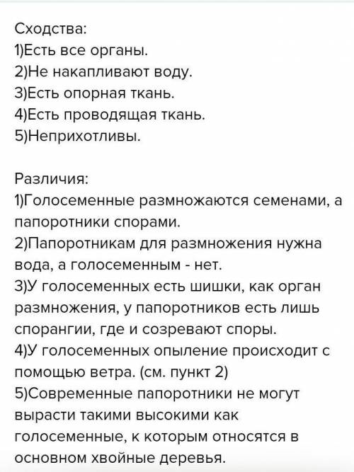 Сходства папоротников и голосеменных