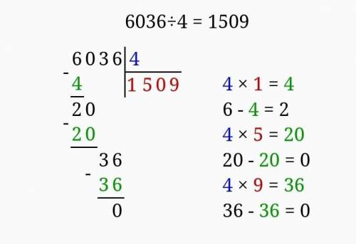 6450.6 6036:4 4956:7 4107.9 1248 - 6 3004.8 Как разделить столбиком? Матиматика