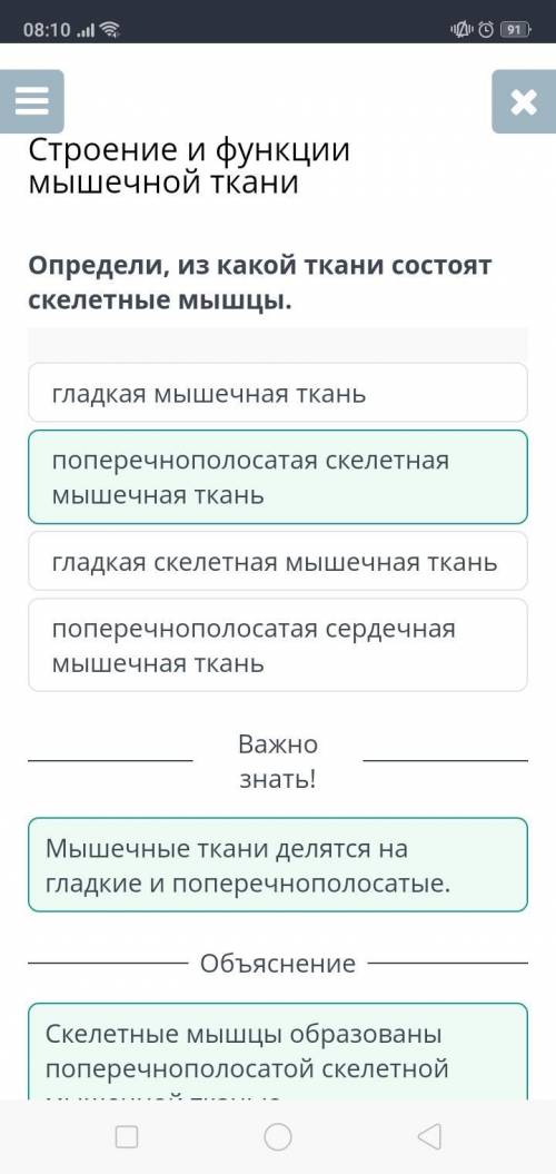 Строение и функции мышечной ткани Определи, из какой ткани состоят скелетные мышцы.Е. Асаунапоперечн