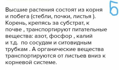 ответьте на вопросы: А. Какие вещества поступают в организм с пищей?Б. Какие системы обеспечивают тр