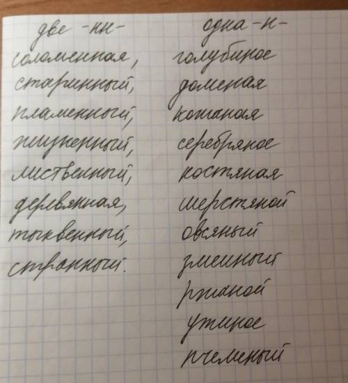 Распределите слова в две колонки: прилагательные с Н; прилагательные с НН. Соломе＿ая шляпа, стари＿ый