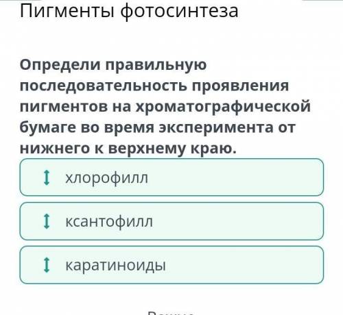Пигменты фотосинтеза ХОпредели правильную последовательность проявления пигментов на хроматографичес