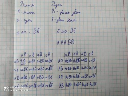 . Дівчина з густим волоссям і звичайними вухами не може вибрати між двома претендентами на її руку.