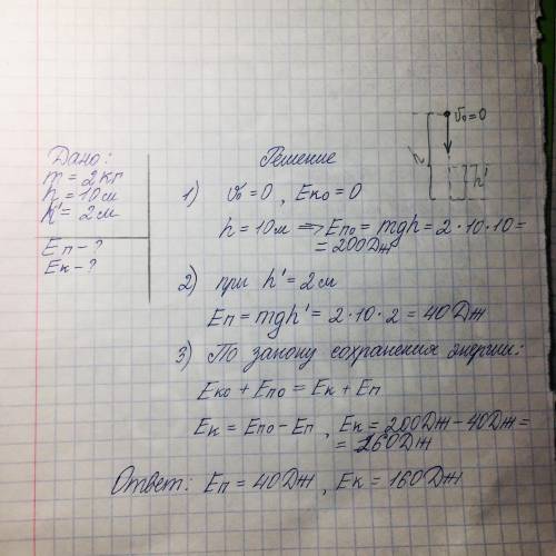 тело массой 2 кг свободно падает с высоты 10 м из состояния покоя. Определите потенциальную и кинети