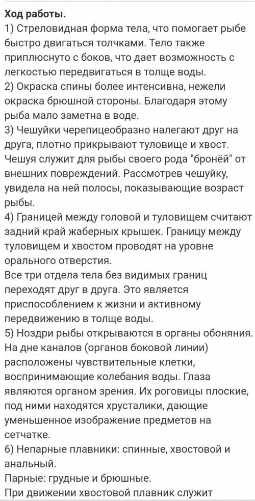 Лабораторная работа по биологии номер 6, 7 класс Константинов