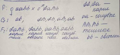 Задача на дигибрибное скрещивания очень нужно Известно, что карий глаз и темные волосы это доминантн