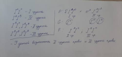 Как я группы крови возможны у детей , если у матери I(o) , а у отца IV (AB)